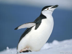 Лилия Каримова