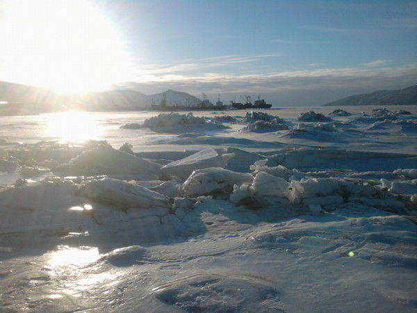 Ирина Задунаевская