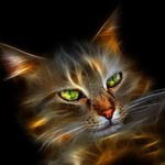 Максим Родионов