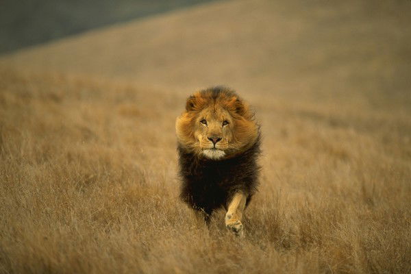 Евгений Юдин