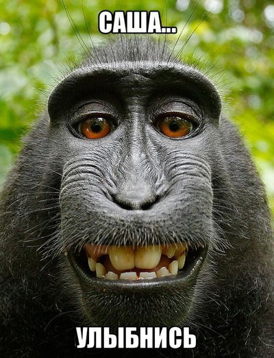 Александр Ковалев