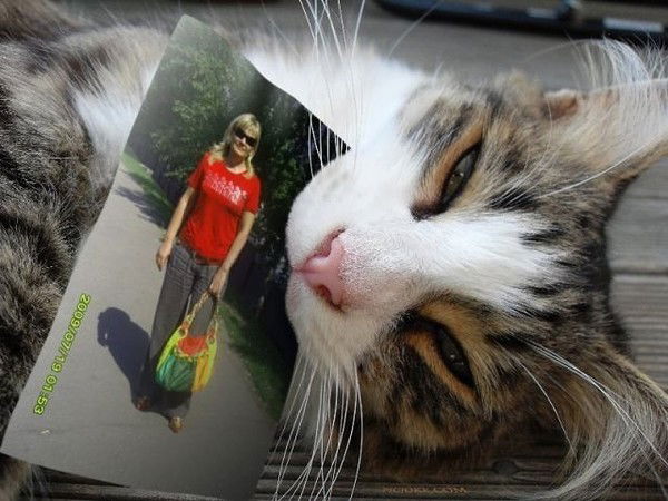 Елена Павлова