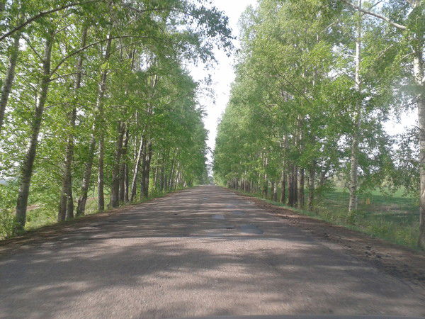 Агрызский Ро