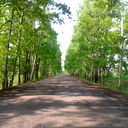 Агрызский Ро