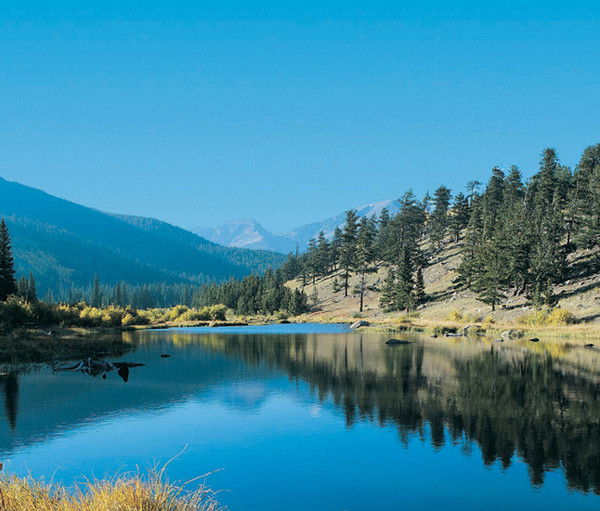 Индиана Вахитова