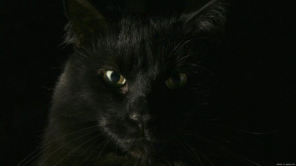 Сергей Панов