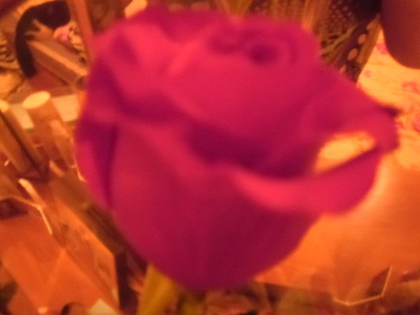 Виктория Реппо