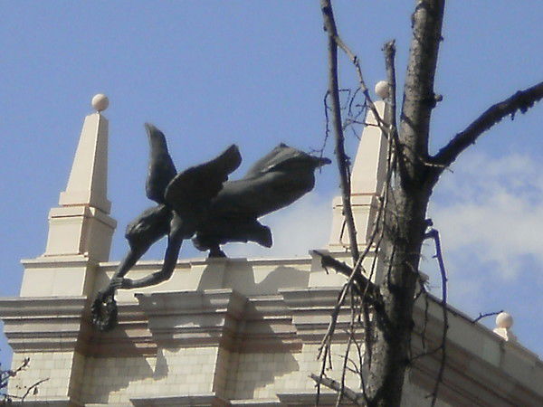 Светлана Моор -Дружкова