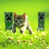 Никита Прохоренко