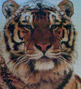 Володька Никулин