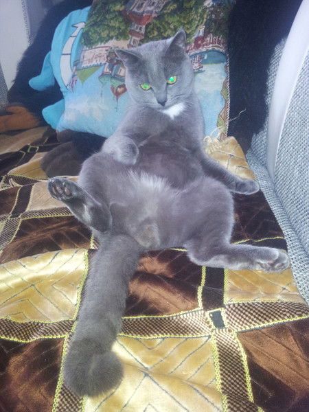 Никита Копылов