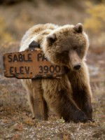 Берик Сагнаев