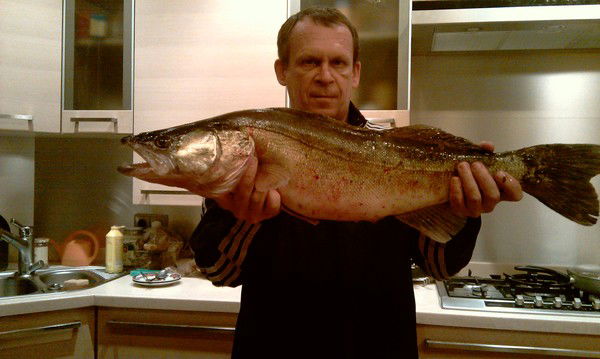 Владимир Евграшин