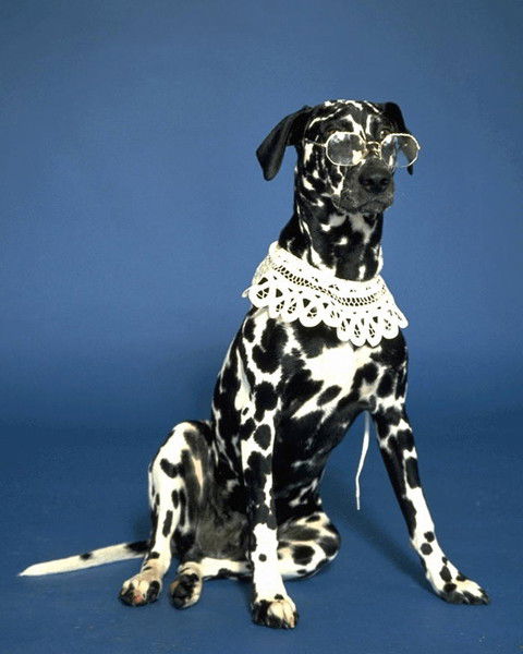 Сергей Тарасов