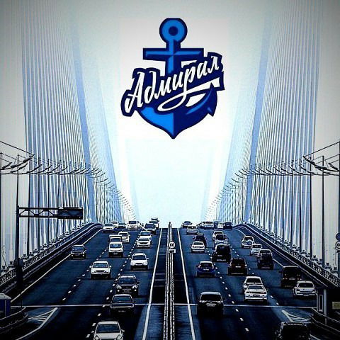 Виталий Левашов