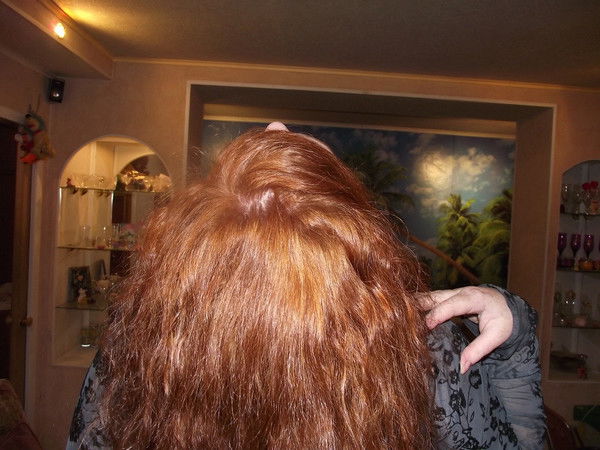 Екатерина Сорокина