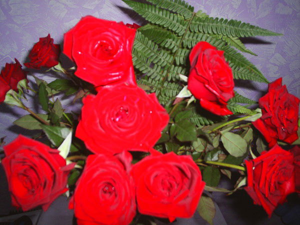 Юлия Айкашева