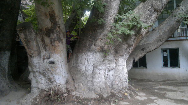 Даврон Ахмедов