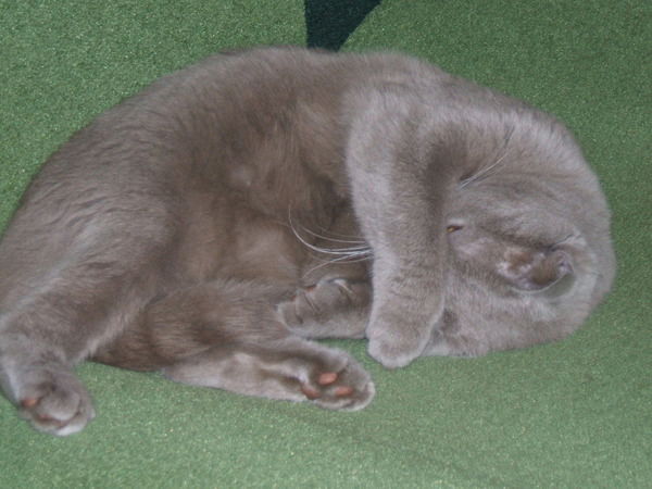 Леонид Брежнев