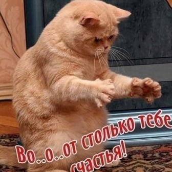 Марина Зыкина