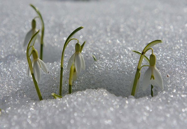 Нарушение Речи Интернат Темиртау