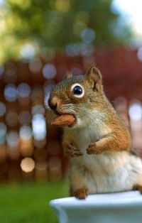 Жека Кранчев