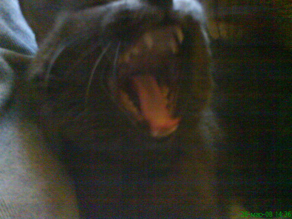 Ирина Кузьмина