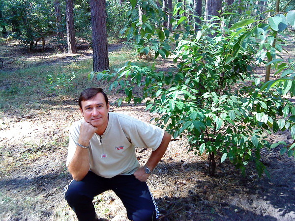 Владимир Сидоренко