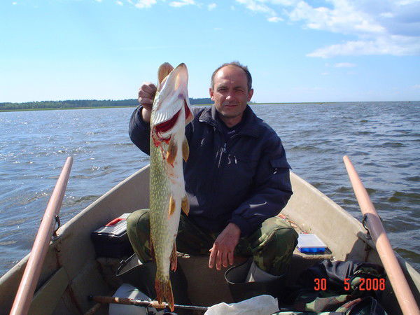 Александр Степовик