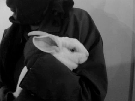 Наталья Ефремова