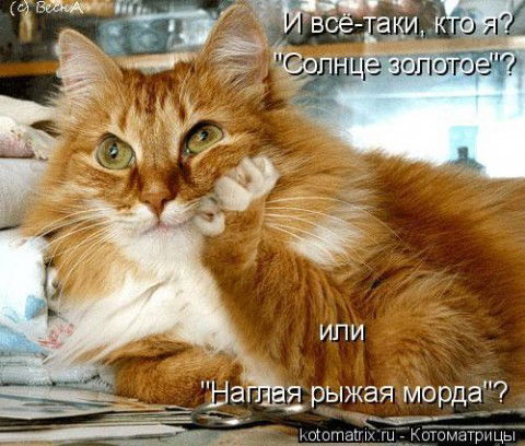 Дмитрий Мясников