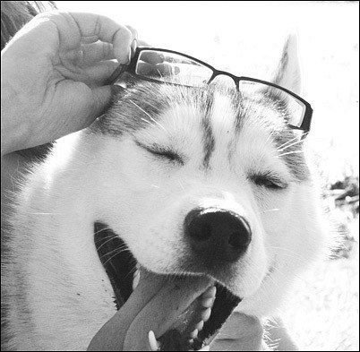 Виктор Самойленко