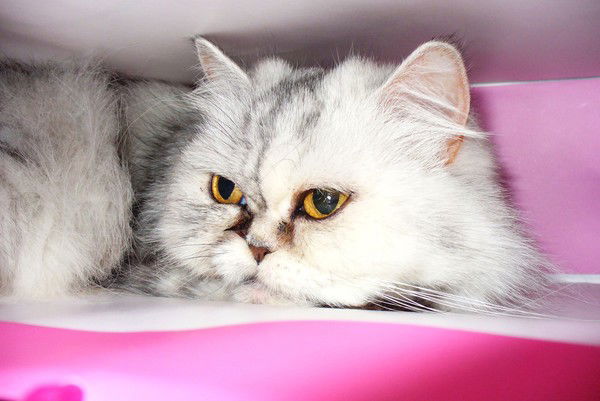 Ирина Балыкина