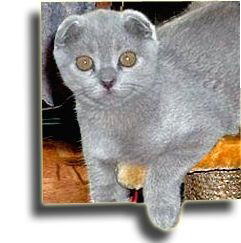 Александр Виноградов