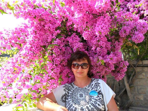 Слива Ольга