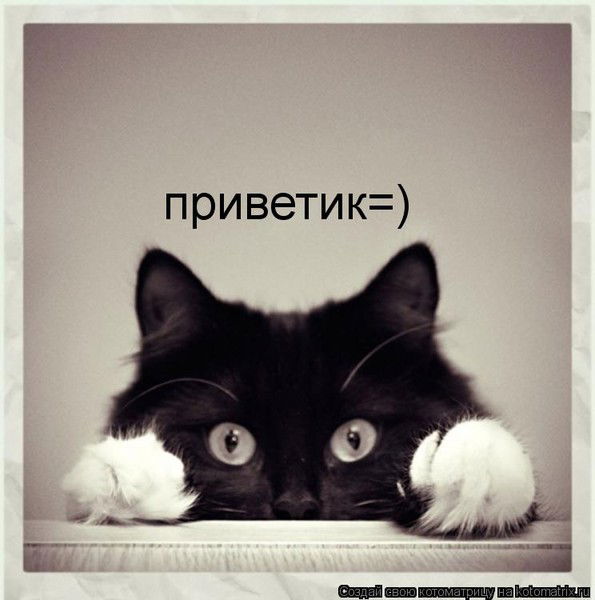 Левин Сергей