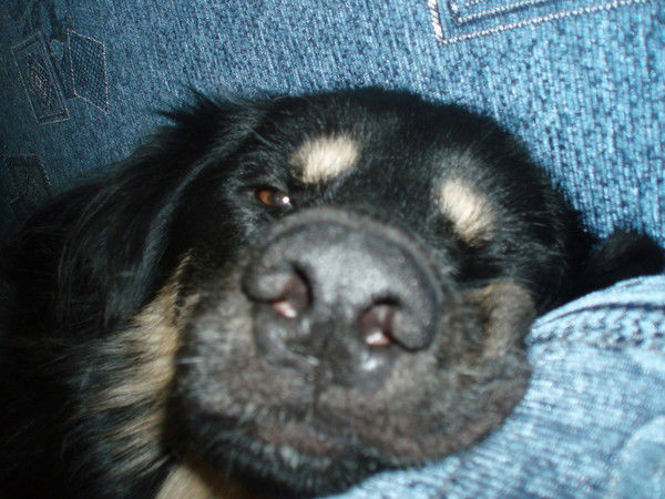 Анна Рябинина