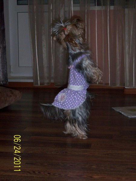 Александр Керенский