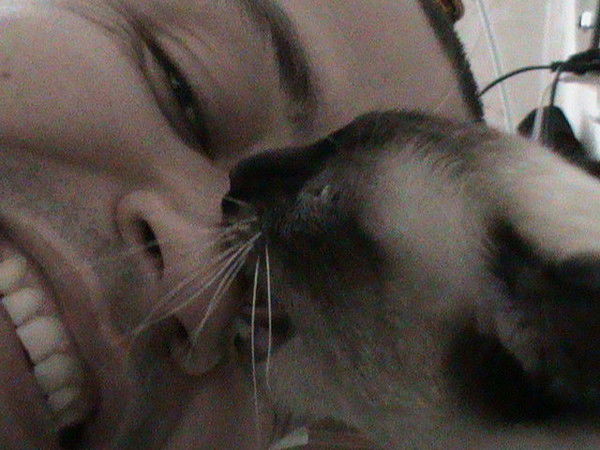 Артем Корсаков