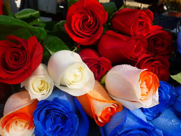 Куралай Утекина