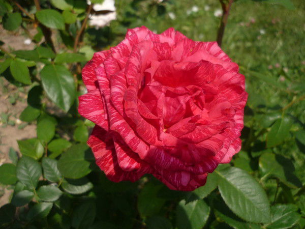 Валентина Илюхина