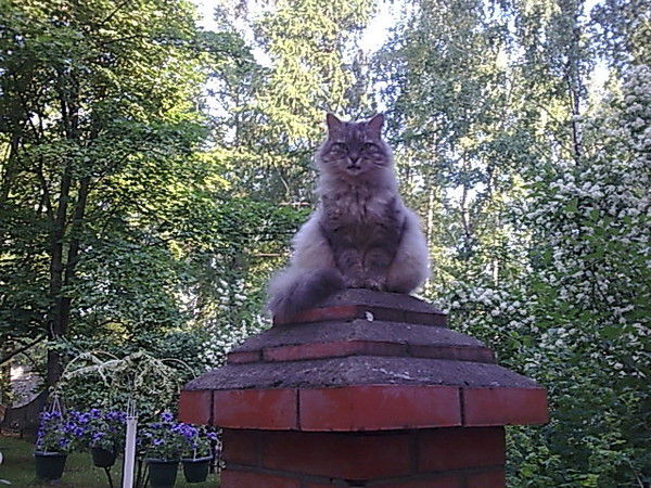 Александр Маринин