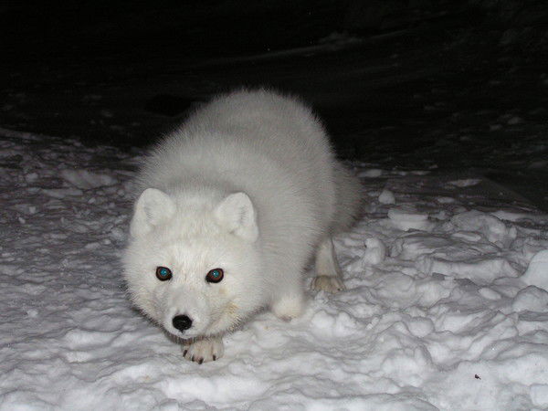 Сергей Малюгин