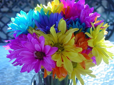 Ольга Поддубная