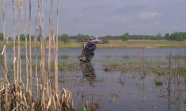 Роман Краснов