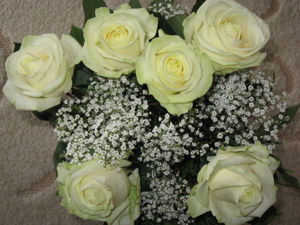 Жанна Альтергот