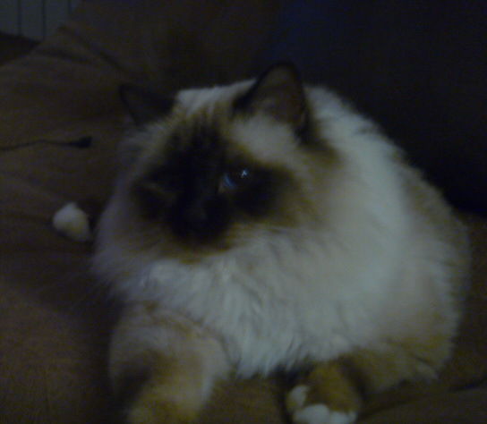 Сергей Ошеров