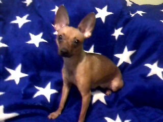 Юлия Шишкалова