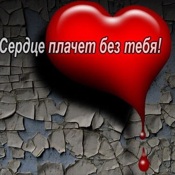 Николай Саламатов