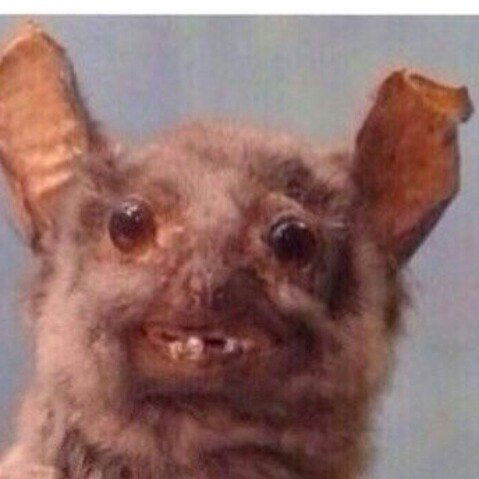 Сервер Рамазанов